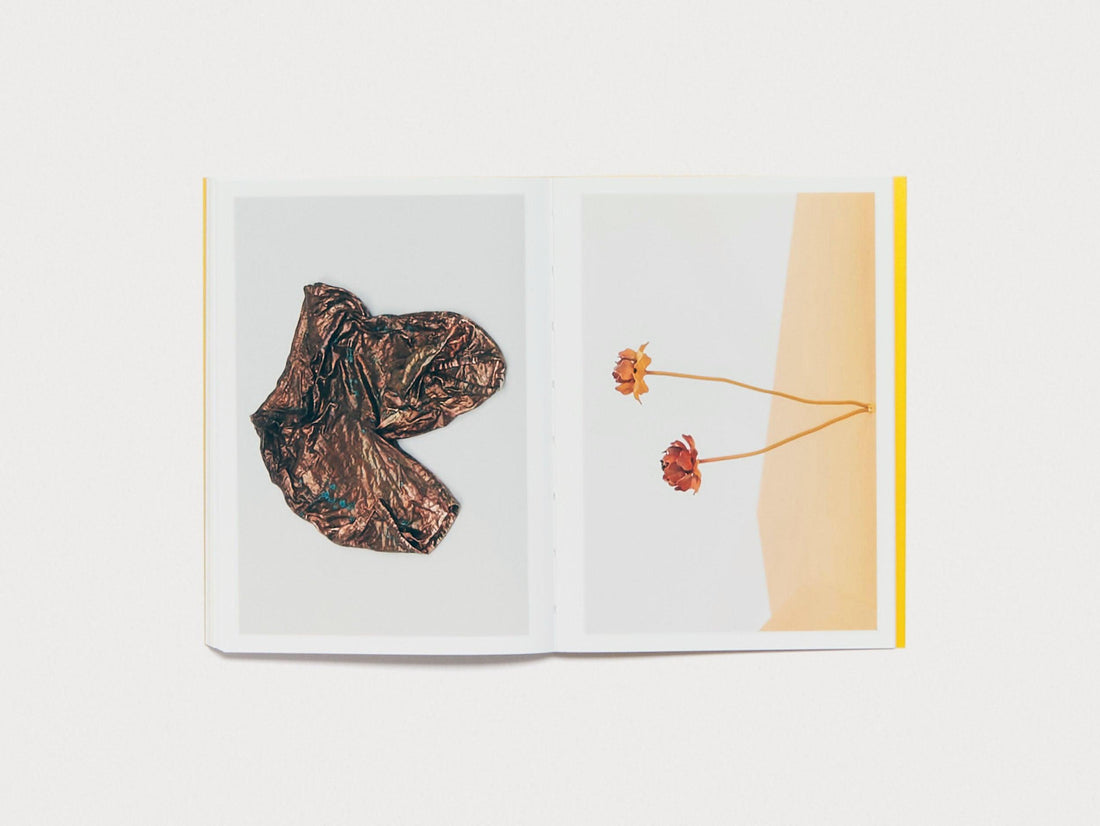 Vasilis Papageorgiou: Sunseekers or Dimming the Sun or - Antenne Books