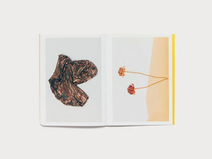 Vasilis Papageorgiou: Sunseekers or Dimming the Sun or - Antenne Books