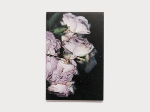 Martin Maeller: Nervous Dust - Antenne Books