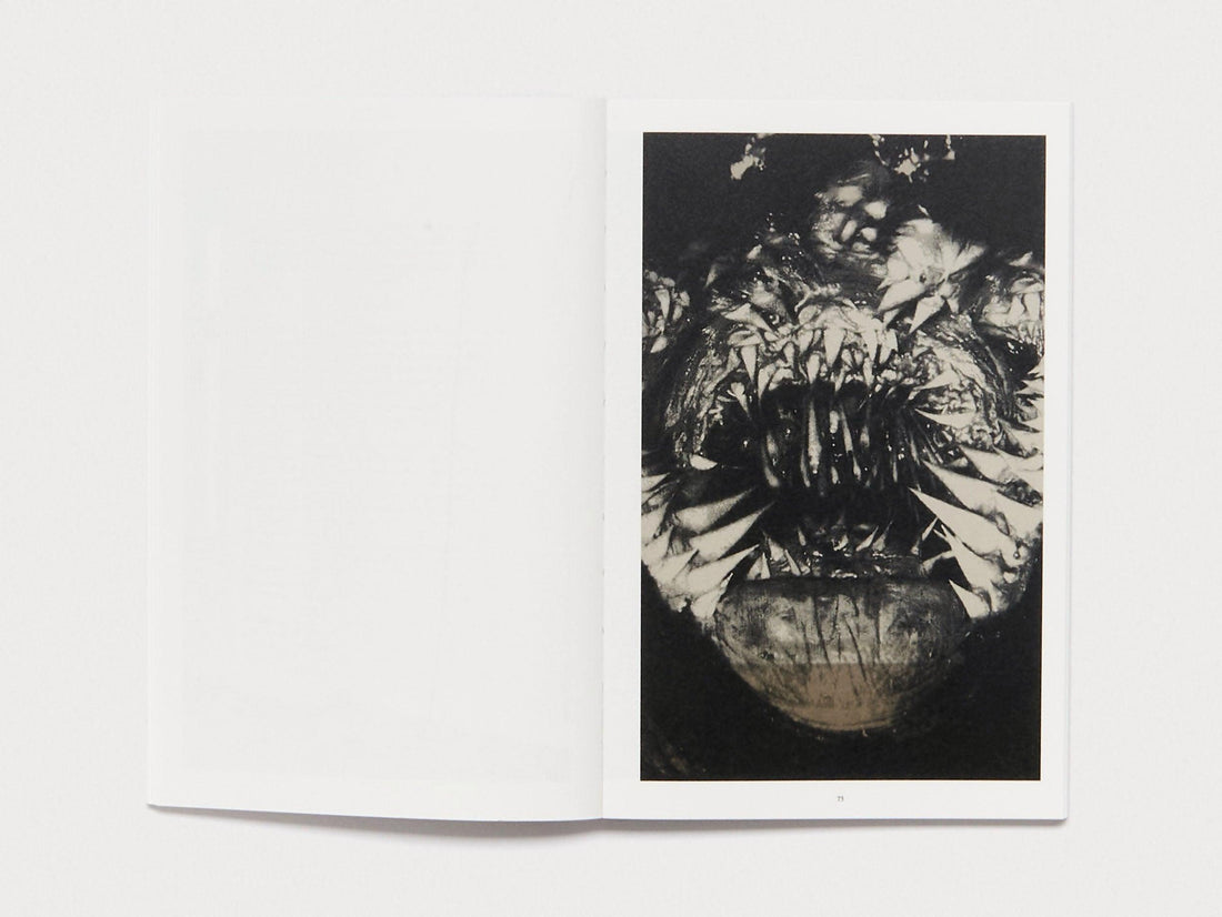 Martin Maeller: Nervous Dust - Antenne Books