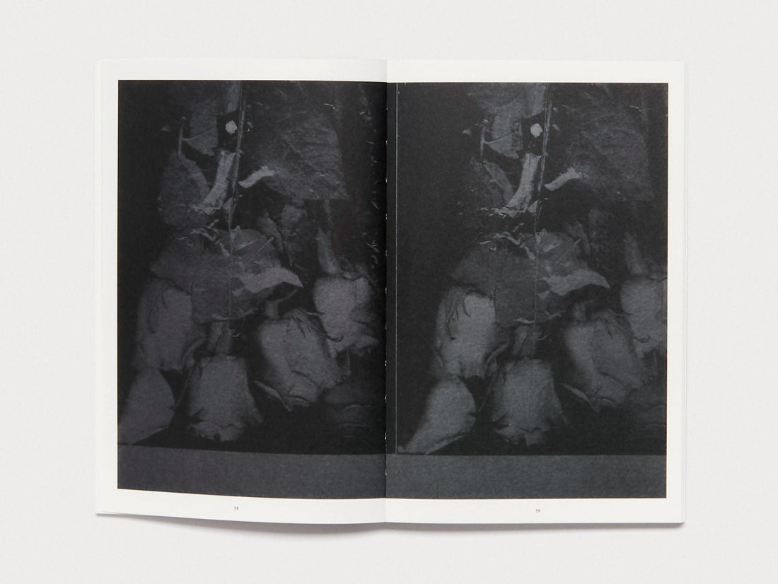 Martin Maeller: Nervous Dust - Antenne Books