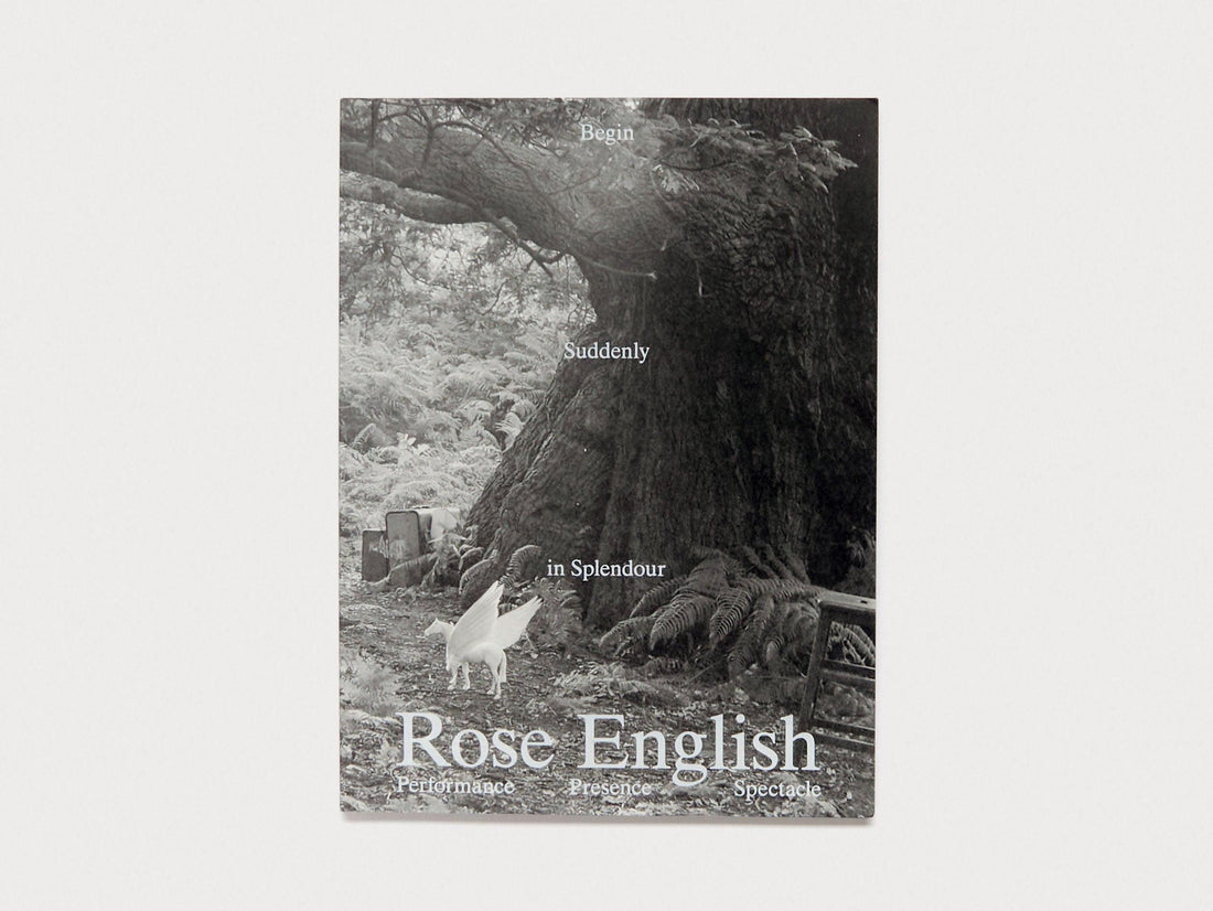 Begin Suddenly in Splendour - Antenne Books