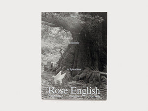 Begin Suddenly in Splendour - Antenne Books