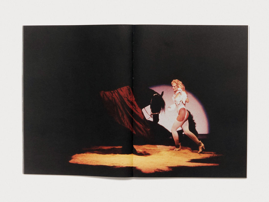 Begin Suddenly in Splendour - Antenne Books