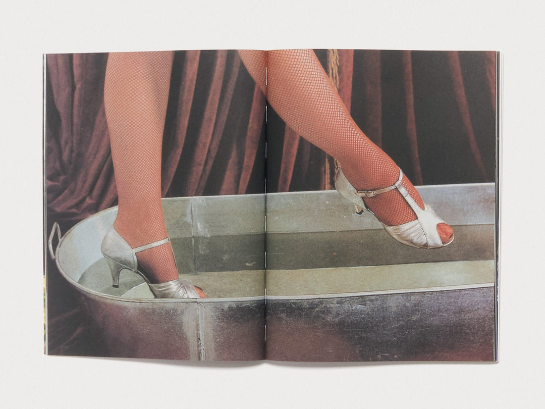 Begin Suddenly in Splendour - Antenne Books