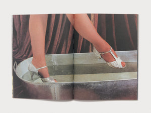 Begin Suddenly in Splendour - Antenne Books