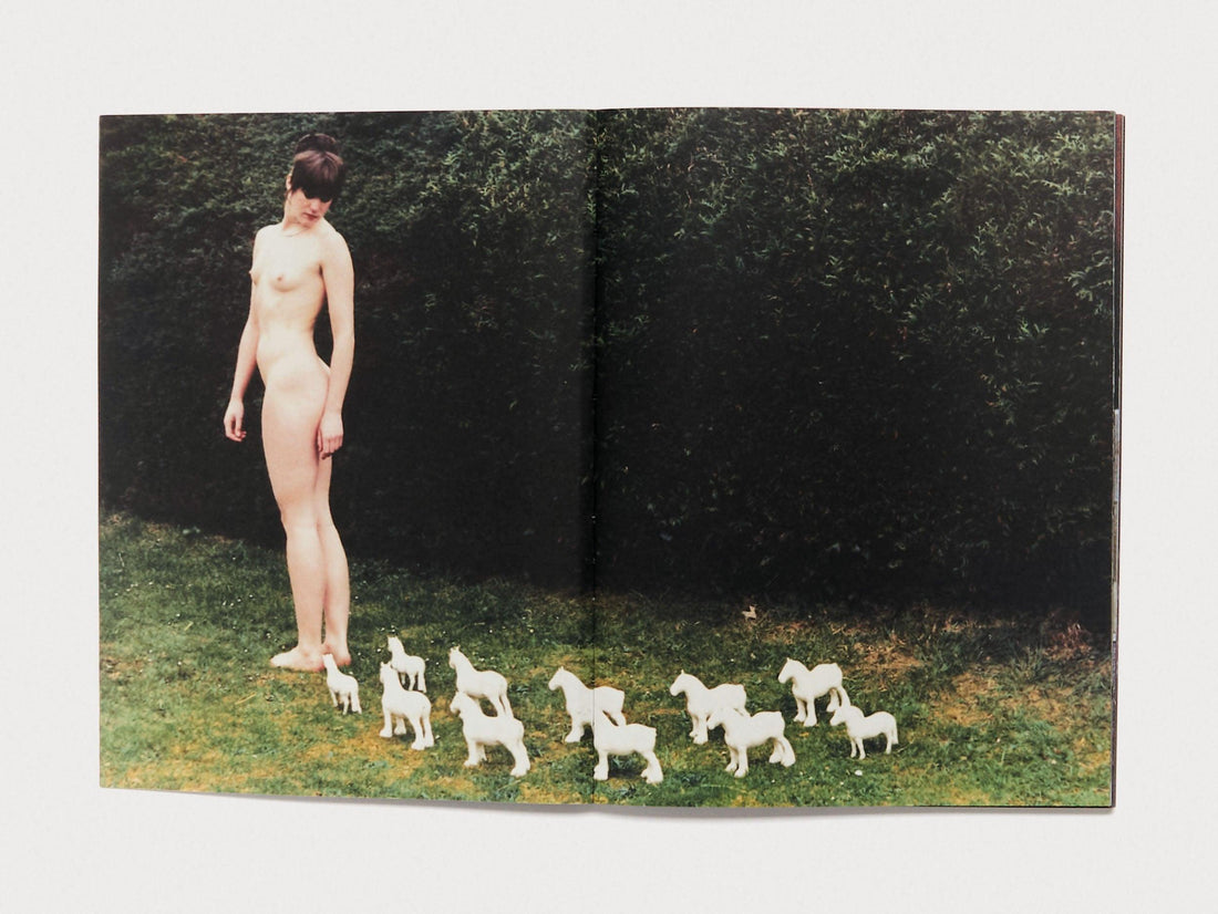 Begin Suddenly in Splendour - Antenne Books