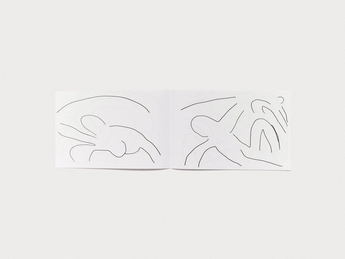 Matisse - Antenne Books