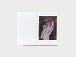 A Memory is a delay as a Memory - Antenne Books