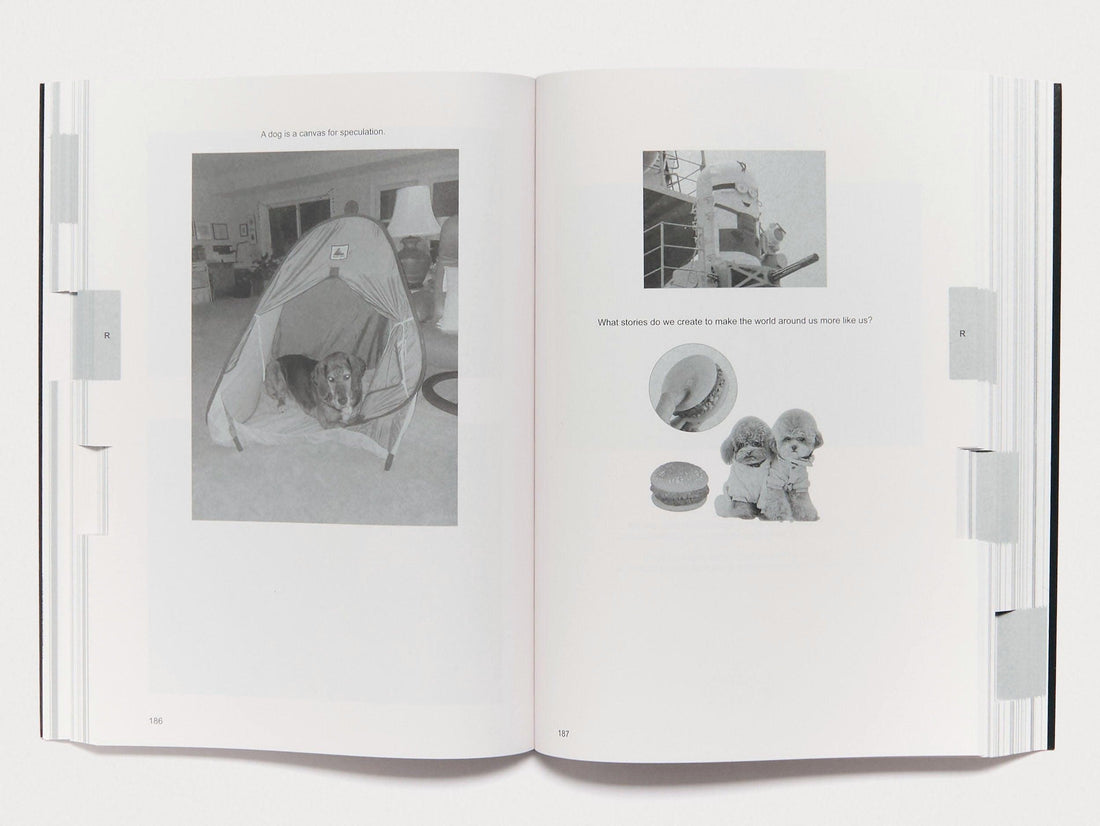 Prepositions - Antenne Books