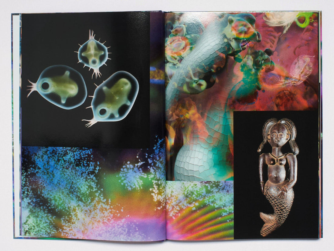 MOTS FLEUVES - Antenne Books