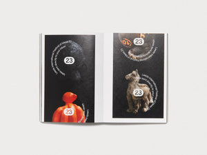 The Process Five - Antenne Books