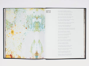 Raphaël Barontini: We Could Be Heroes - Antenne Books