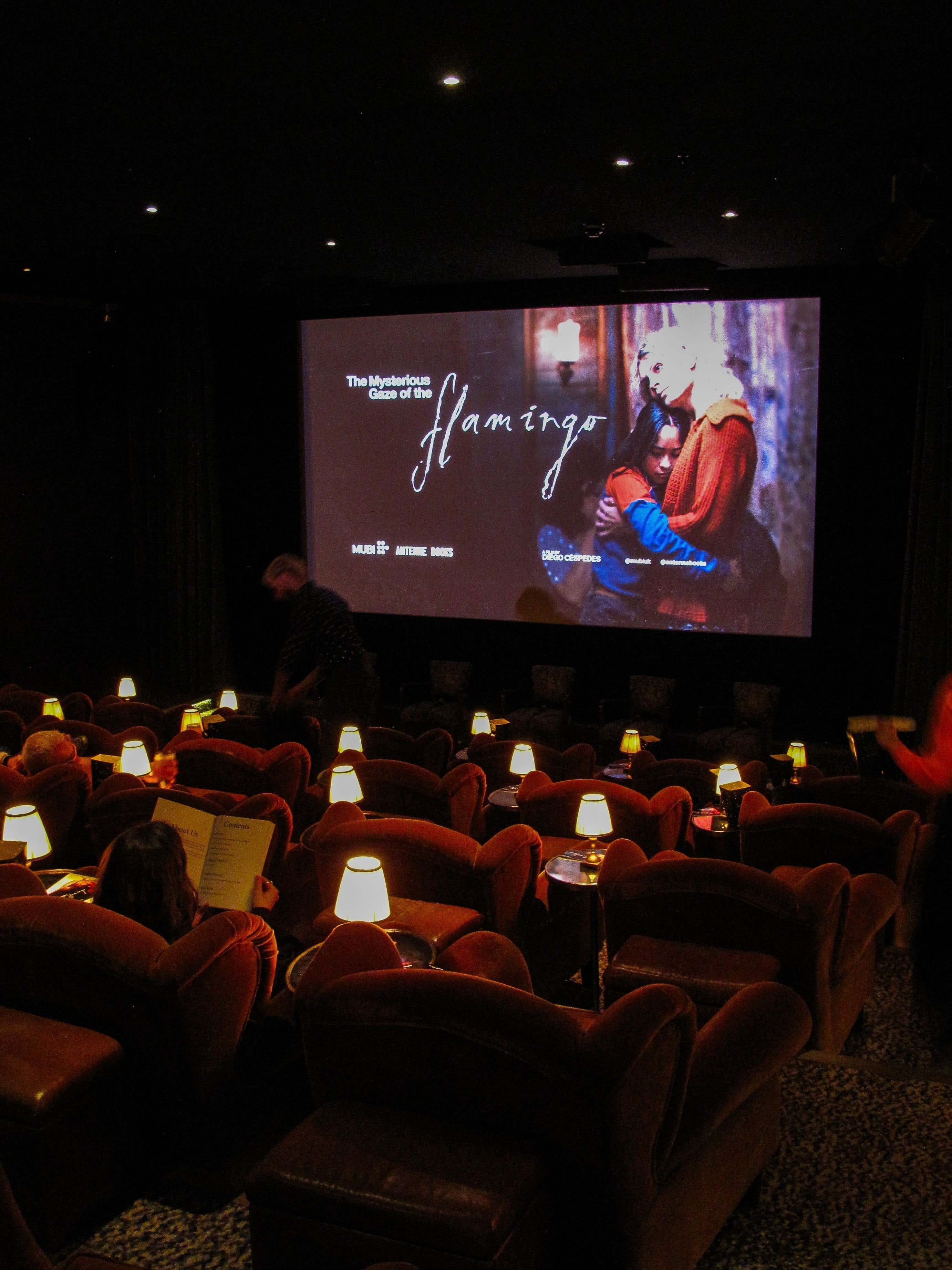 A cinema screen displaying 'The Mysterious Gaze of the Flamingo' in a dark theater.