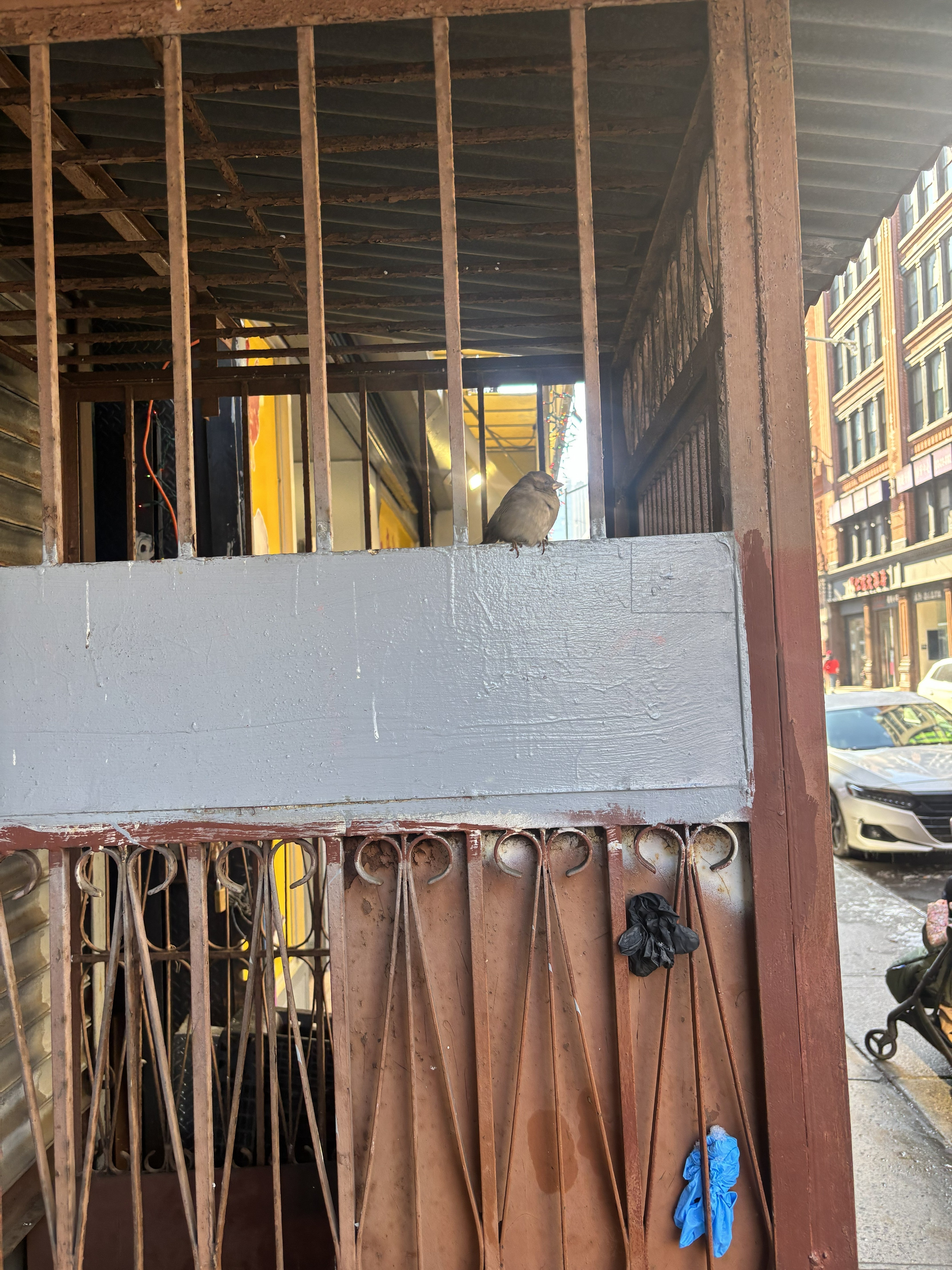 A Day In The Life - Molly Rose Liberman