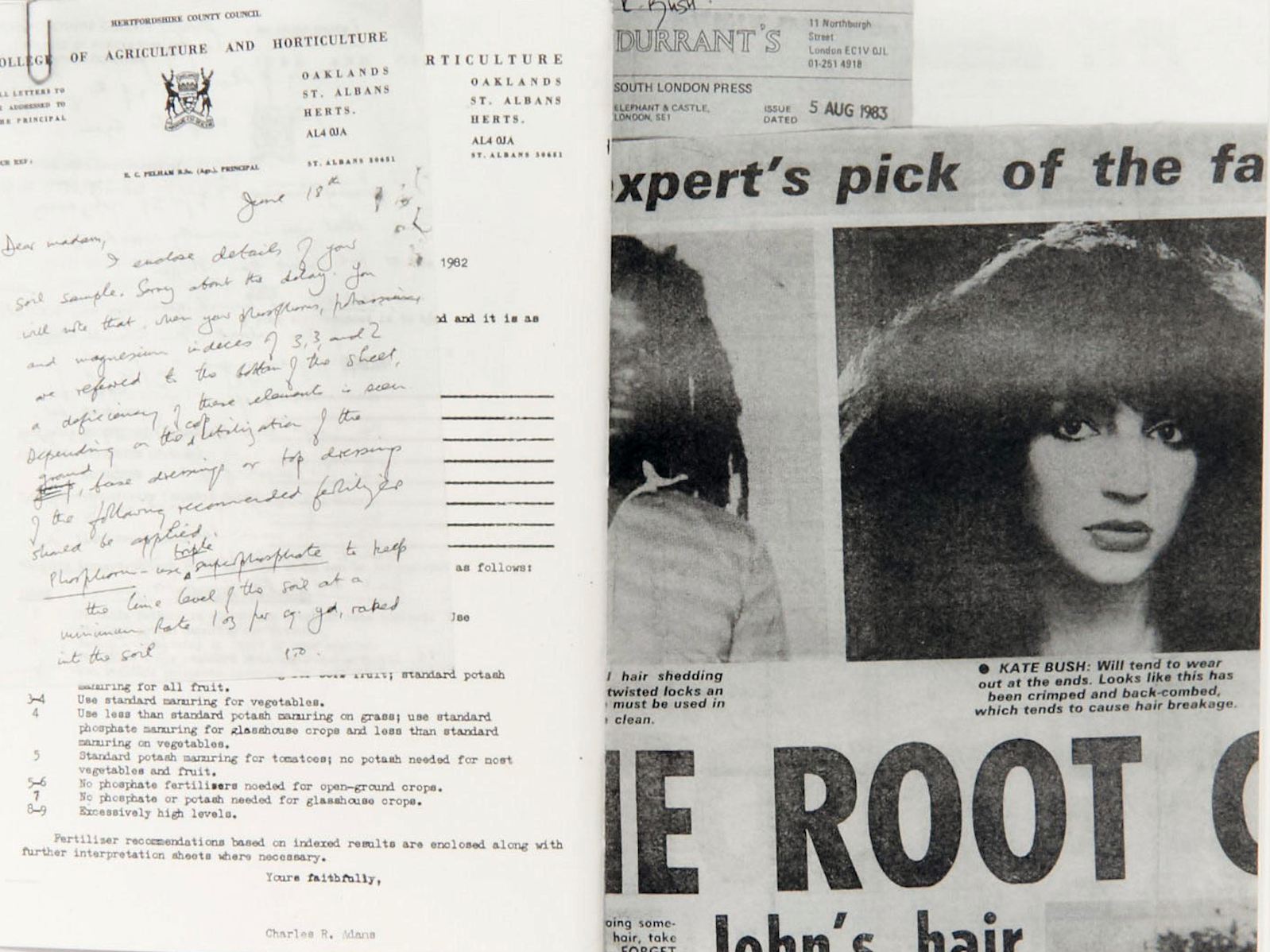 Collage featuring a typed letter from Hertfordshire County Council and a newspaper clipping of Kate Bush.