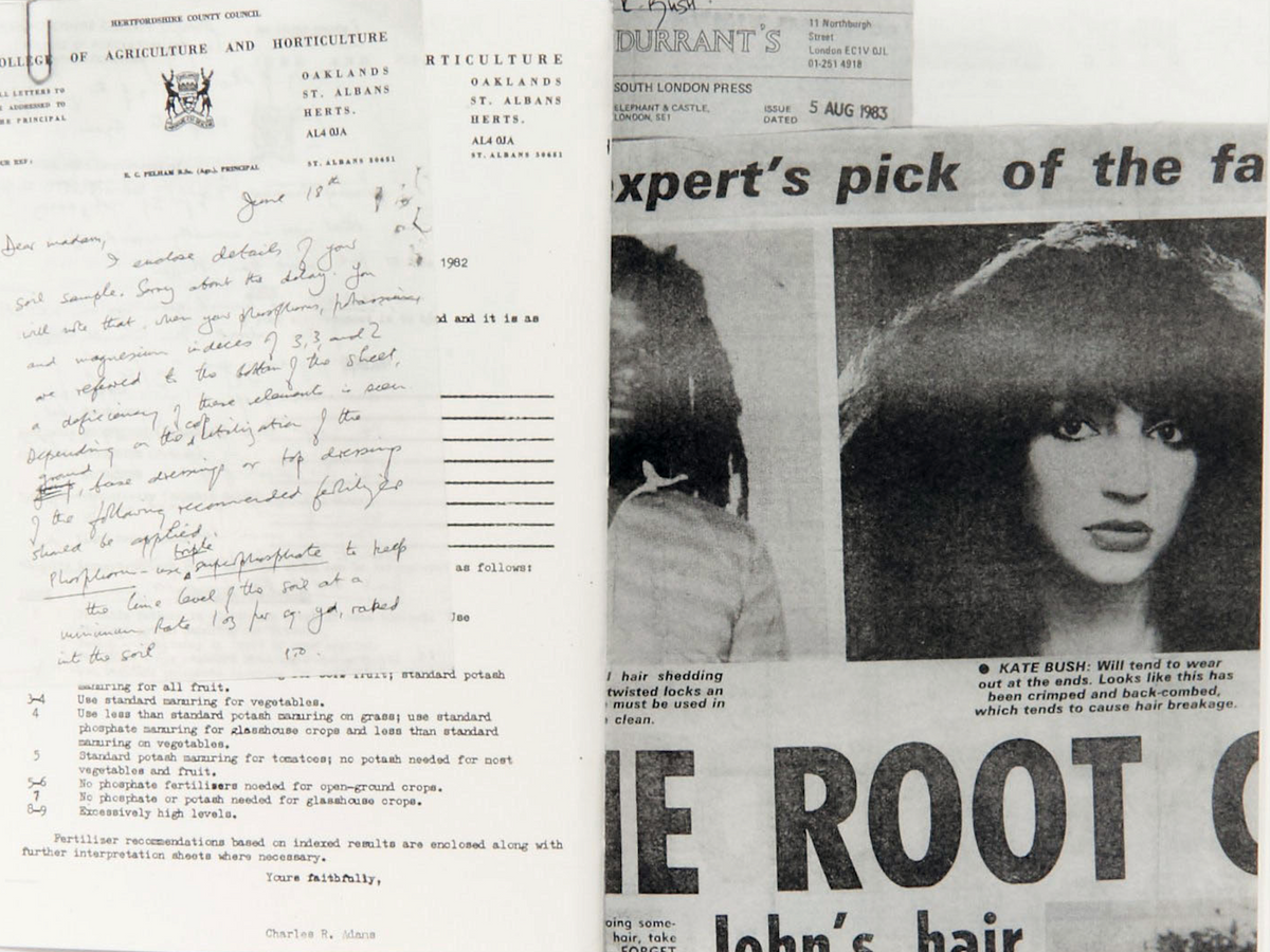 Collage featuring a typed letter from Hertfordshire County Council and a newspaper clipping of Kate Bush.
