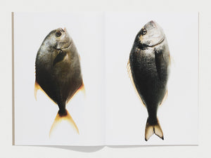 WHANZINE BOX 101-112