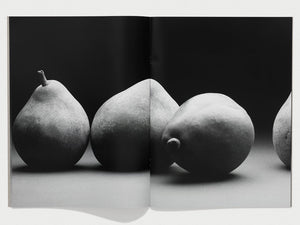 WHANZINE BOX 101-112