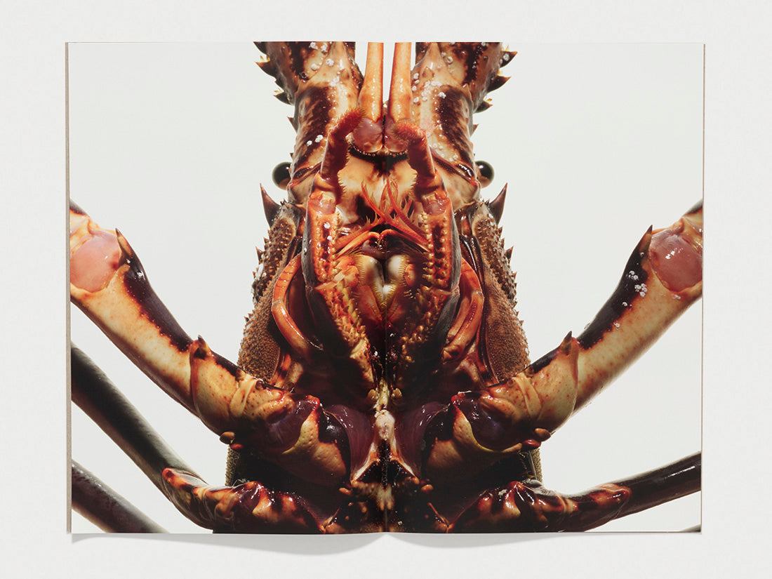 WHANZINE BOX 101-112