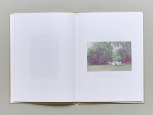 Photographies du soir