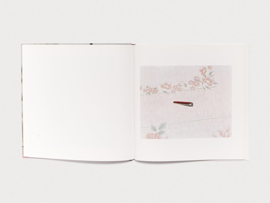 Domestic Scandals - Antenne Books