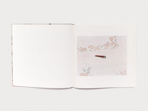 Domestic Scandals - Antenne Books