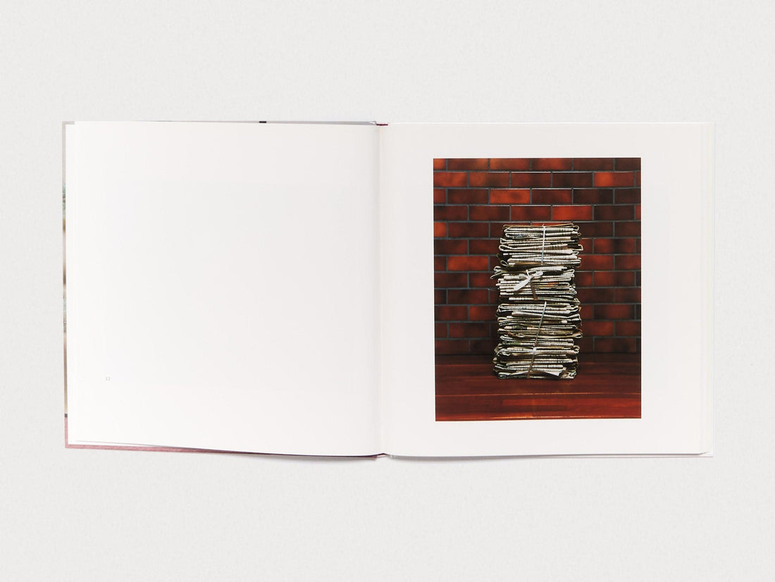 Domestic Scandals - Antenne Books