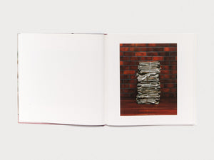 Domestic Scandals - Antenne Books