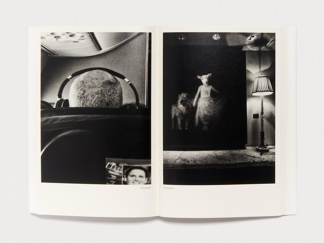 Dog and Mesh Tights - Antenne Books