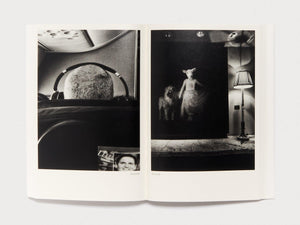 Dog and Mesh Tights - Antenne Books