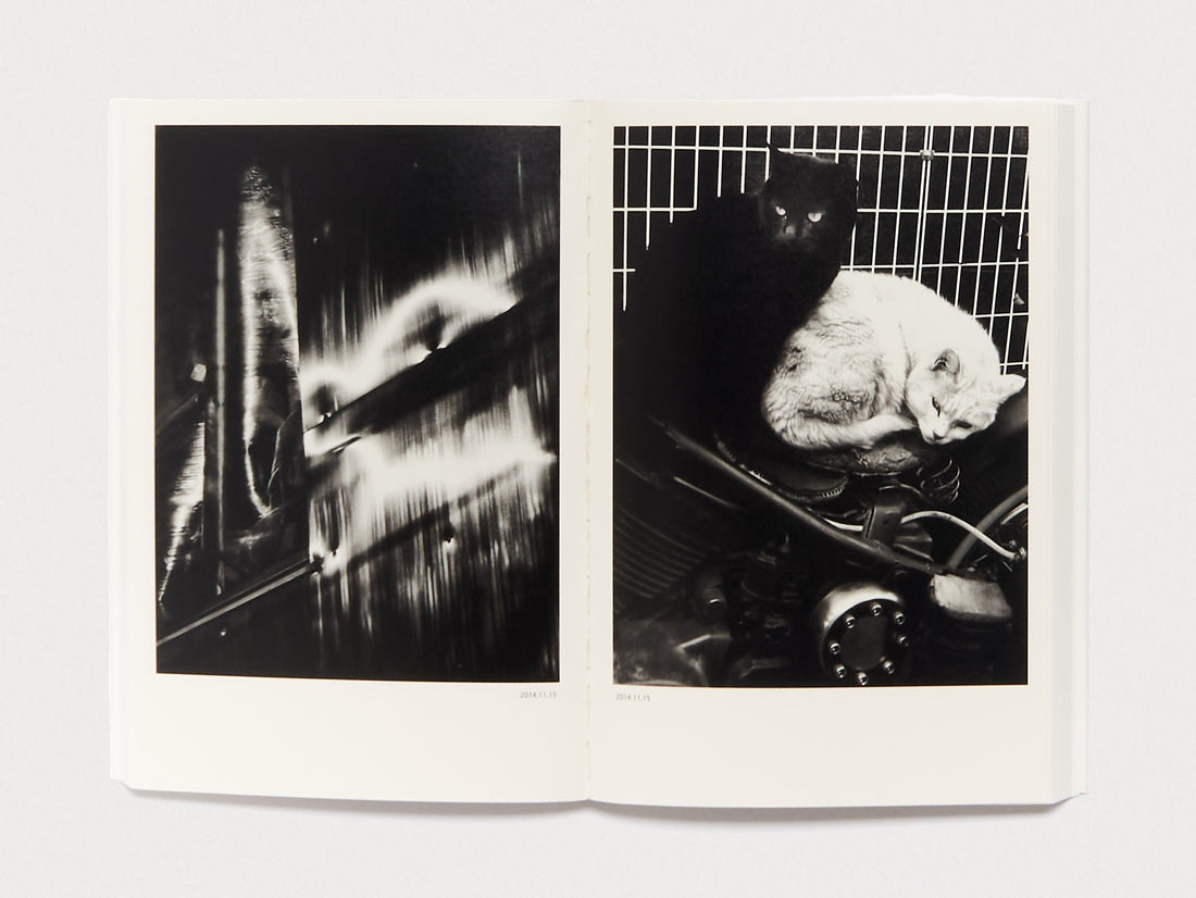 Interior spread featuring two black and white photographs, one abstract and one of two cats.