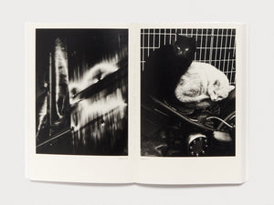 Interior spread featuring two black and white photographs, one abstract and one of two cats.