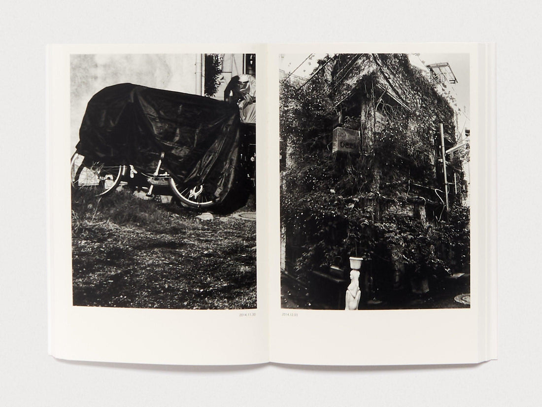 Dog and Mesh Tights - Antenne Books