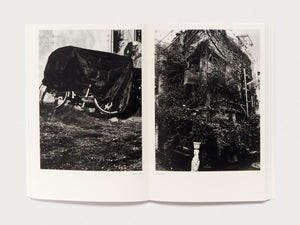 Dog and Mesh Tights - Antenne Books