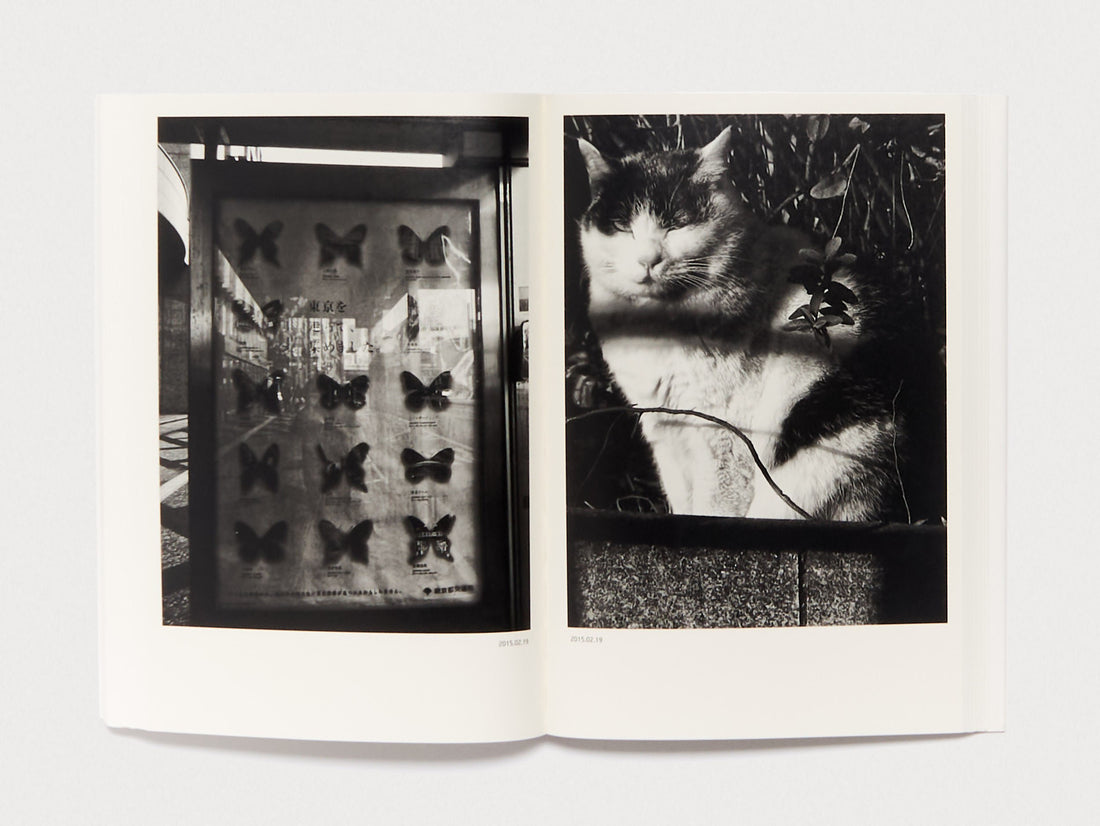 Interior spread featuring a black and white photo of a butterfly display and a cat.