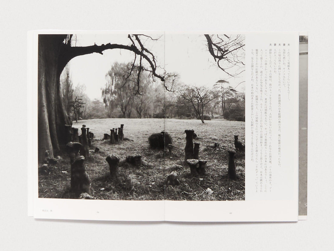 Tokyo, in Autumn - Antenne Books