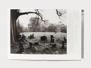 Tokyo, in Autumn - Antenne Books