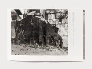 Tokyo, in Autumn - Antenne Books