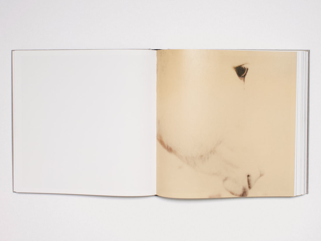 Pierre Keller: My Colorful Life