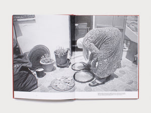 Sahten - The SkatePal Cookbook