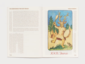 Enfleshed: Ecologies of Entities and Beings