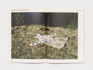 Enfleshed: Ecologies of Entities and Beings