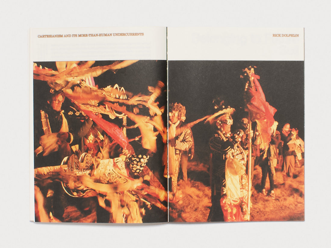 Enfleshed: Ecologies of Entities and Beings