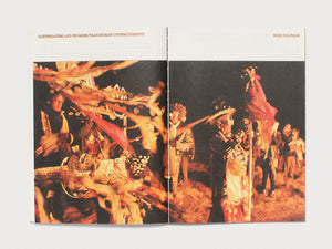 Enfleshed: Ecologies of Entities and Beings