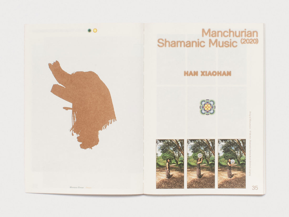 Enfleshed: Ecologies of Entities and Beings