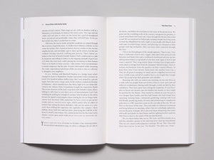 n+1 Issue 46 Agitation - Antenne Books