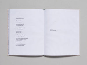 First Pylon - Antenne Books