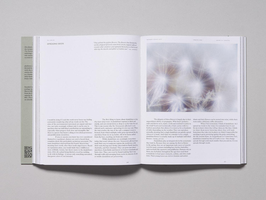 The Overview - Antenne Books