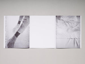 Transi - Antenne Books